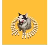 Various Artists - Twist This Pussy