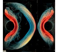 Various Artists - Utopia or Oblivion [Vinilo]