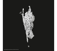 various artists-v five years of artefact [Vinilo]