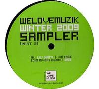 VARIOUS ARTISTS - VARIOUS ARTISTS / WELOVEMUZIK WINTER 2009 SAMPLER (PART 2)