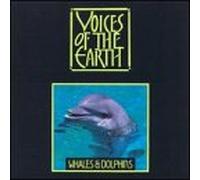 Various Artists - Voices Whales & Dolphins