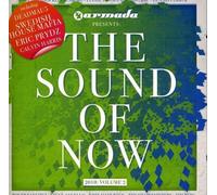 Various Artists - Vol. 2-Sound Of Now 2010
