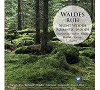 Various Artists - Waldesruh/Silent Woods