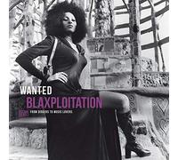 VARIOUS ARTISTS - WANTED - BLAXPLOITATION - FROM DIGGERS TO MUSIC LOVERS [Vinilo]