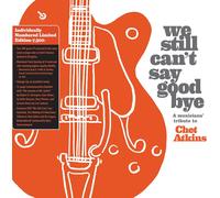 Various Artists We Still Can't Say Goodbye: A Musician (Vinyl) (Importación USA)
