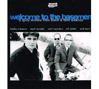 Various Artists - Welcome to the Basement [Vinilo]