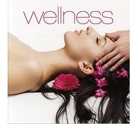 Various Artists - Wellness -24tr-
