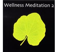Various Artists - Wellness Meditation 2
