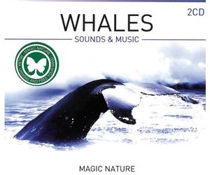 Various Artists - Whales