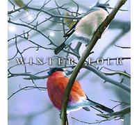 Various Artists - Winter Folk