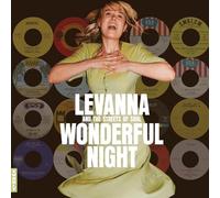 Various Artists - Wonderful Night Curated By Levanna