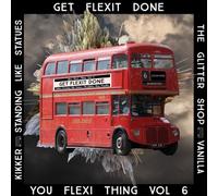 Various Artists - You Flexi Thing Vol 6- Get Flexit Done [7" VINYL]
