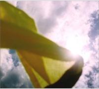 Various - Before the Lightss