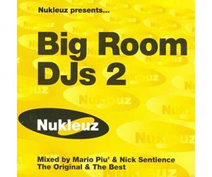 Various - Big Room Dj's Vol.2