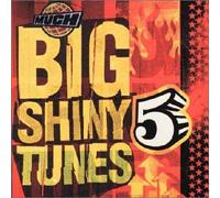 Various - Big Shiny Tunes 5