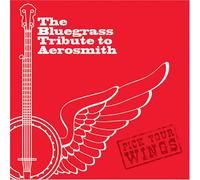 Various - Bluegrass Tribute to Aerosmith