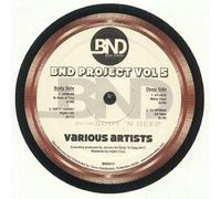 Various - Bnd Project Vol 5