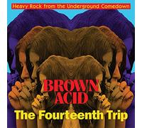 Various - Brown Acid: The Fourteenth Trip [VINYL] [Vinilo]