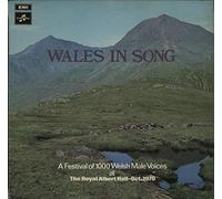Various-Choral & Gregorian Chanting - Cam Cymru - The Song Of Wales - Various LP