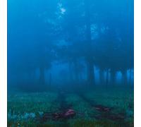 Various - Commune [Vinilo]