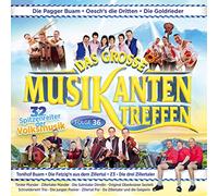 Various - Das grosse Musikantentreffen; Folge 36; Pagger Buam; Goldrieder; Oeschs die Dritten; Tonihof Buam; Die Fetzigen aus dem Zillertal; Zillertaler Mander; Schneiderwirt Trio; Jungen Pseirer; Z 3 die drei Zillertaler; Tiroler Mander; Sulmtaler Dirndln;