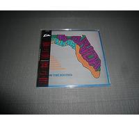 Artisti diversi - Florida Punk From the 60s - LP Replica