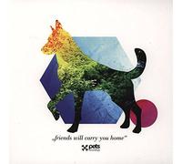 Various - Friends Will Carry You Home