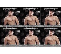 Various - Gay Happening 21 [Import]