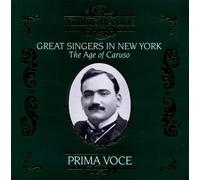 Various Great Singers in New York - The Age of Caruso (CD) (Importación USA)