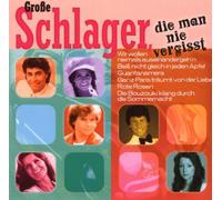 Various - Große Schlager,Die Man Nie Vergisst [Import]