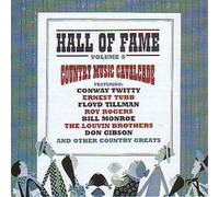 Various - Hall of Fame Vol.5