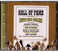 Various - Hall of Fame Vol.6