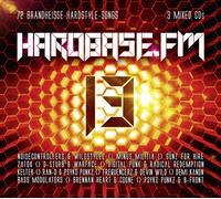 Various - HardBase.FM Vol.13