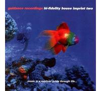 Various - Hi-Fidelity House 2