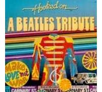 Various - Hooked on the Beatles