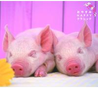 Various [King Records] - Oyasumi Happy Classic