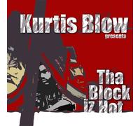 VARIOUS - KURTIS BLOW PRESENTS HIP HOP MINIST