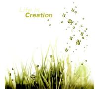 Various - Life Is... Creation