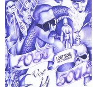 VARIOUS - Lost Soul Oldies 14 (22 Cuts) / Various