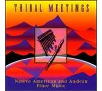 Various - Native American & Andean Flute Music