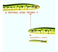 Various - "Natural Born Techno,