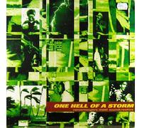 Various - One Hell of a Storm [Vinilo]