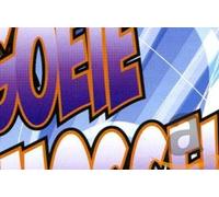 Various - Party Hits 19:Goeie Mogge