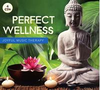 Various - Perfect Wellness-Joyful Music Therapy