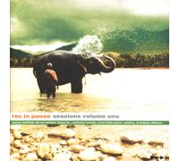 Various - Rec in Pause Session Vol.1 [Vinilo]