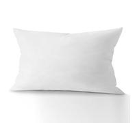 various Relleno de Cojín Fibra Virgen Hueca Siliconada 100% Poliéster, Relleno Suave Indeformable Antialérgico, Lavable para Sofá Cama Salón Oficina Terraza, 30x50 cm (1 Unidad)