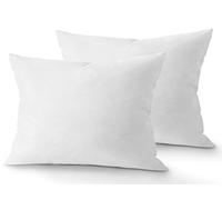 various Relleno de Cojín Fibra Virgen Hueca Siliconada 100% Poliéster, Relleno Suave Indeformable Antialérgico, Lavable para Sofá Cama Salón Oficina Terraza, 40x60 cm (2 Unidad)