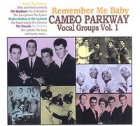 Various - Remember Me Baby-Cameo Parkway Vocal Groups Vol 1