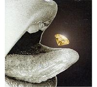 Various - Risky Dazzle-a Service Party