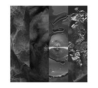 Various - Siamese Anthology I (12'' Incl.4 Art Prints) [Vinilo]